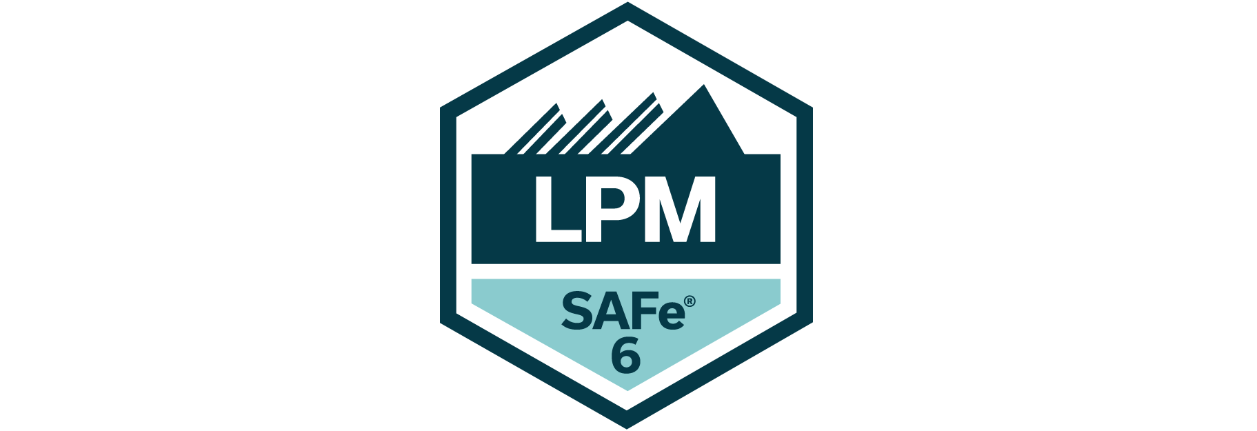 LPM SAFe Lean-Portfolio-Management Hendrik Franke